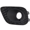 Picture of Fog Light Trim
