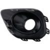 Picture of Fog Light Trim