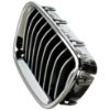 Picture of Grille Assembly
