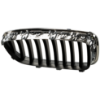 Picture of Grille Assembly