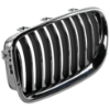 Picture of Grille Assembly