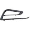 Picture of Fog Light Trim