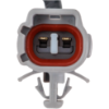 Picture of Hood Latch