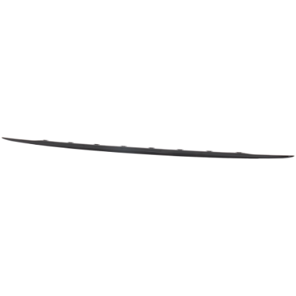 Picture of Bumper Trim