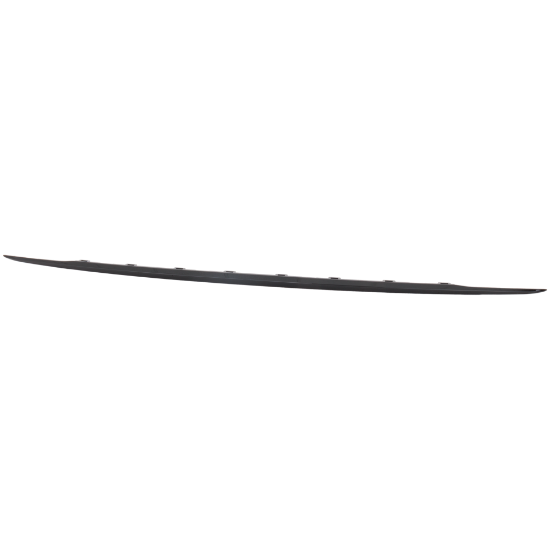 Picture of Bumper Trim