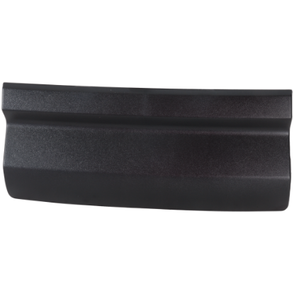 Picture of License Plate Cover