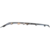 Picture of Bumper Trim