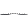 Picture of Bumper Trim