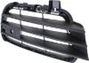 Picture of Bumper Grille