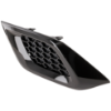 Picture of Fog Light Cover