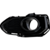 Picture of Fog Light Trim