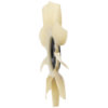 Picture of Fan Blade