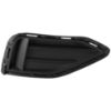 Picture of Fog Light Cover