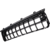 Picture of Bumper Grille