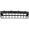 Picture of Bumper Grille