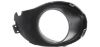 Picture of Fog Light Trim
