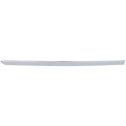 Picture of Door Molding and Beltlines