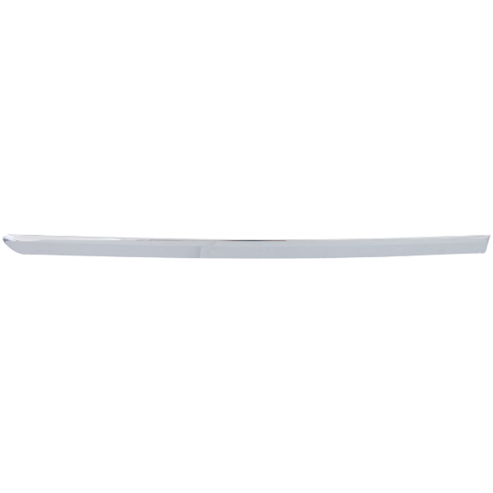 Picture of Door Molding and Beltlines