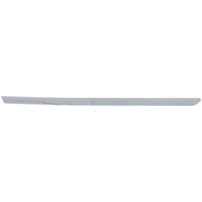 Picture of Door Molding and Beltlines