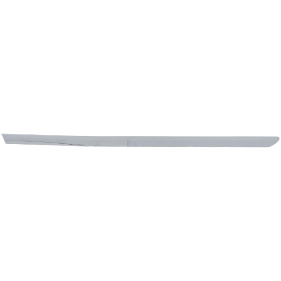 Picture of Door Molding and Beltlines