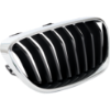 Picture of Grille Assembly