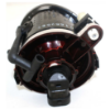 Picture of Fog Light