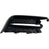 Picture of Fog Light Cover