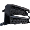 Picture of Fog Light Cover
