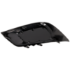 Picture of Fog Light Cover