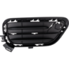 Picture of Bumper Grille