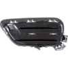 Picture of Bumper Grille