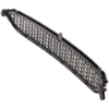 Picture of Grille Assembly