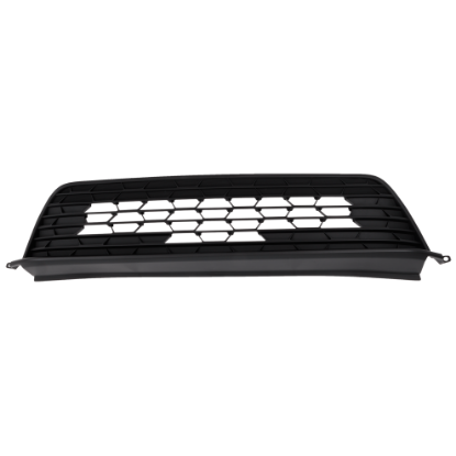 Picture of Bumper Grille