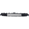 Picture of Bumper Grille