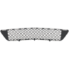 Picture of Bumper Grille