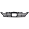 Picture of Bumper Grille