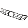 Picture of Bumper Grille