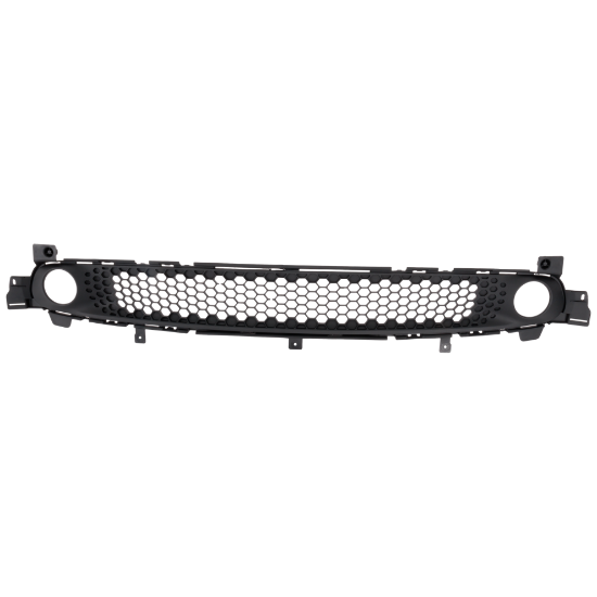 Picture of Bumper Grille