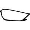 Picture of Fog Light Trim