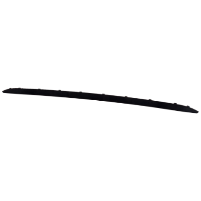 Picture of Bumper Trim
