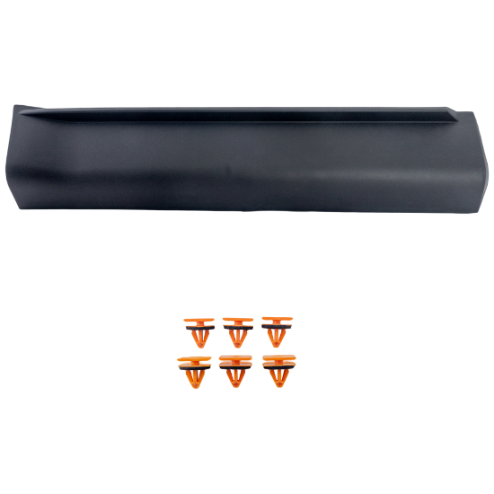 Picture of Door Molding and Beltlines