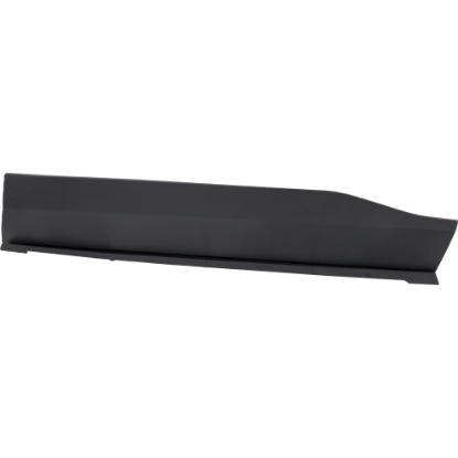 Picture of Door Molding and Beltlines
