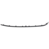 Picture of Bumper Trim