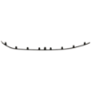 Picture of Bumper Trim