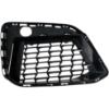 Picture of Bumper Grille