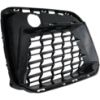 Picture of Bumper Grille
