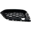 Picture of Bumper Grille