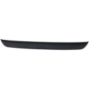 Picture of Bumper Trim