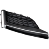 Picture of Fog Light Cover