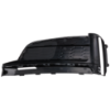 Picture of Fog Light Cover